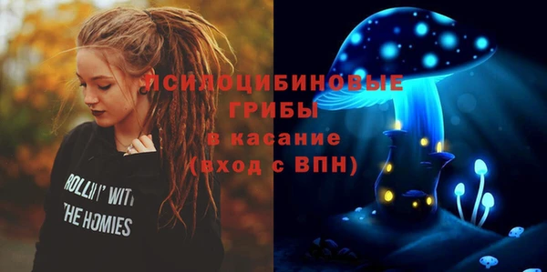 винт Аркадак