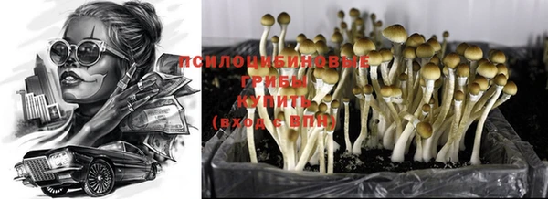 a pvp Арсеньев