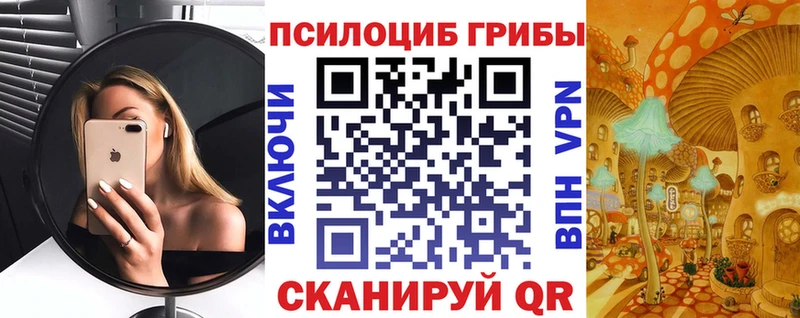 ОМГ ОМГ сайт  купить закладку  shop какой сайт  Псилоцибиновые грибы Psilocybe  Фокино 